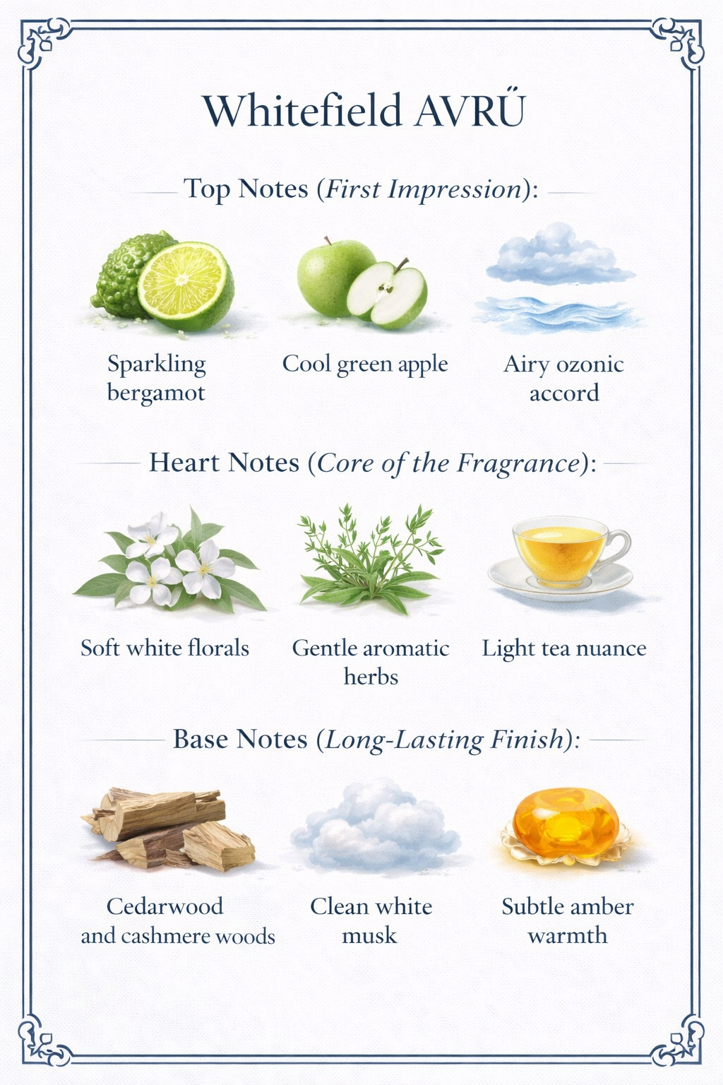 D&Chaitu –  Whitefield Avrū (Eau de Parfum, 50 ml)